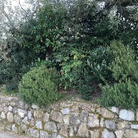Oasi Redinoce Apartmán