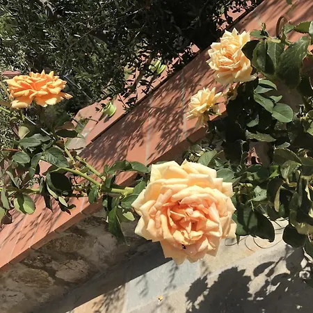 Apartmán Oasi Redinoce Portoferraio